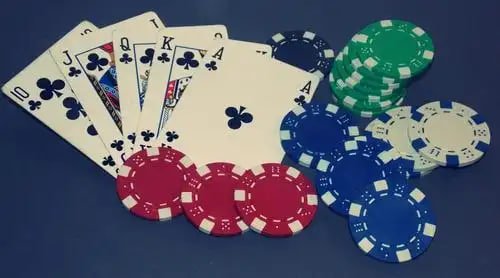 Tampilan aplikasi taruhan olahraga fortune365 di perangkat mobile